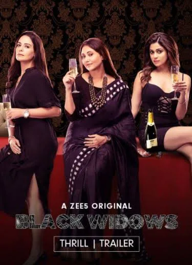 Black Widows 2020 Hindi Completed Web Series HEVC filmywap