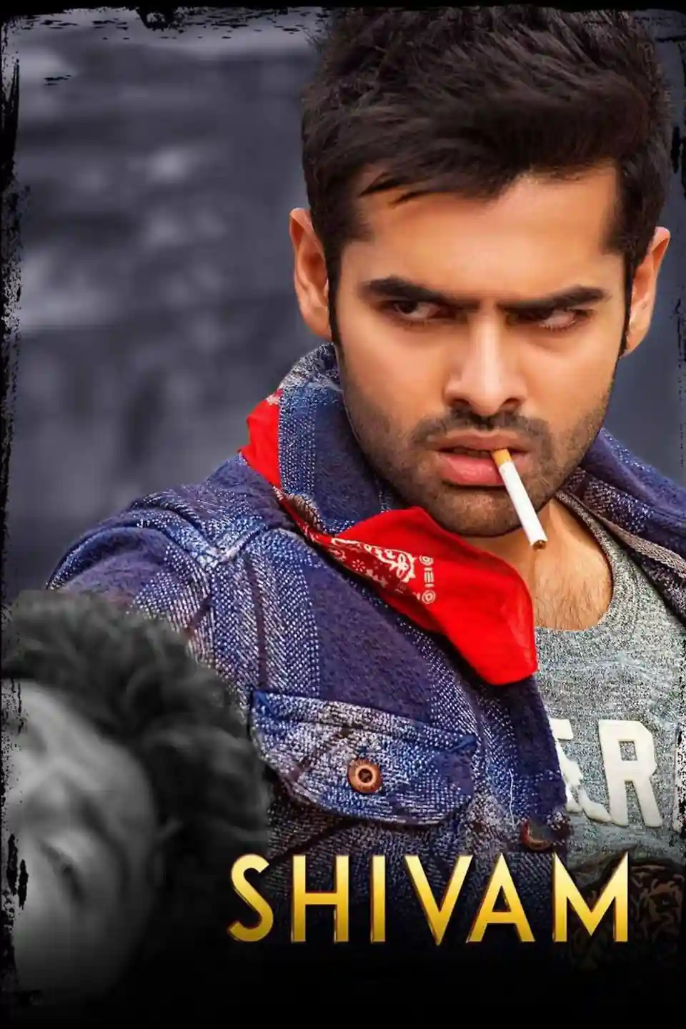 Shivam 2015 Hindi Telugu Dual Audio UnCut Movie HD ESub filmywap