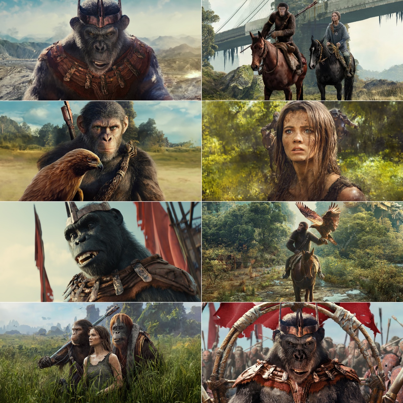 Kingdom of the Planet of the Apes (2024) (Hindi   English) Dual Audio Movie HD ESub filmywap screenshot