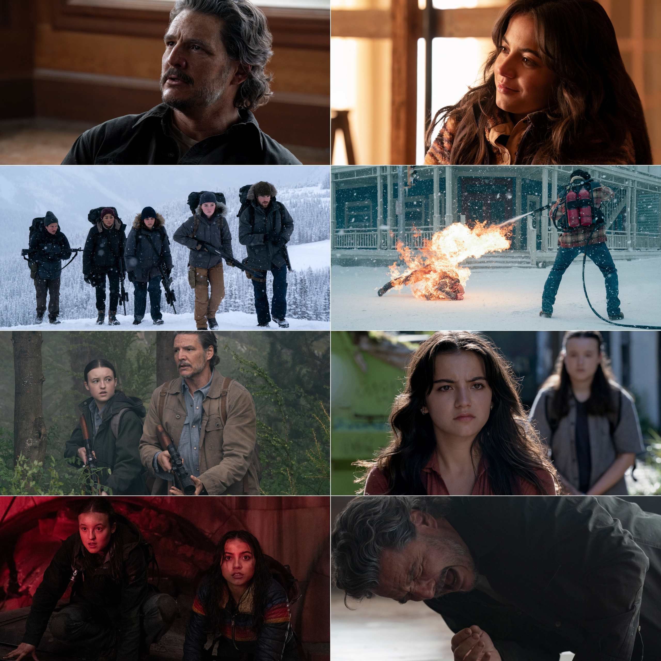 The Last of Us S02 2025 Hindi English Dual Audio Completed Web Series HEVC ESub filmywap screenshot