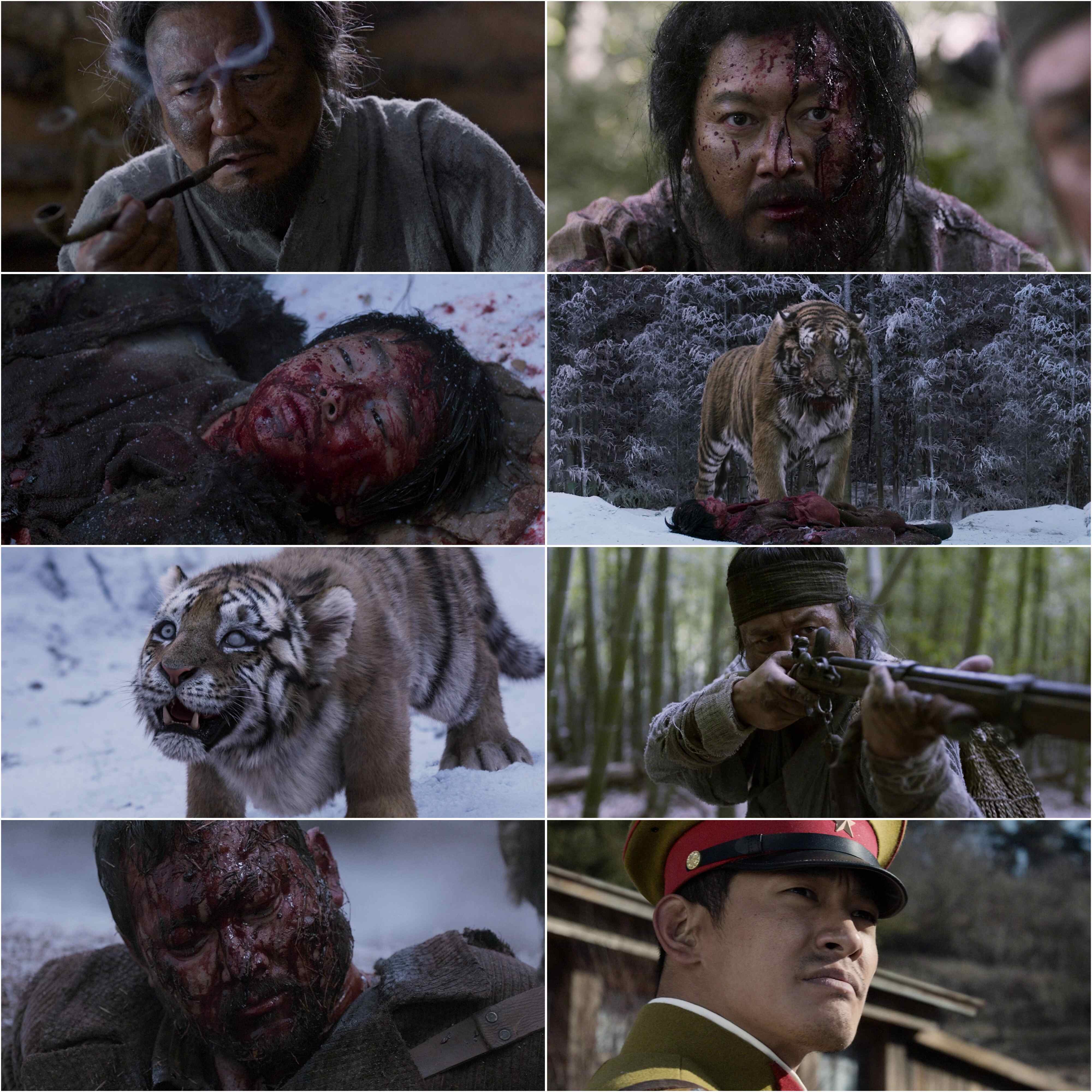 The Tiger 2015 Hindi Korean Dual Audio Hollywood Movie BluRay HD ESub filmywap screenshot