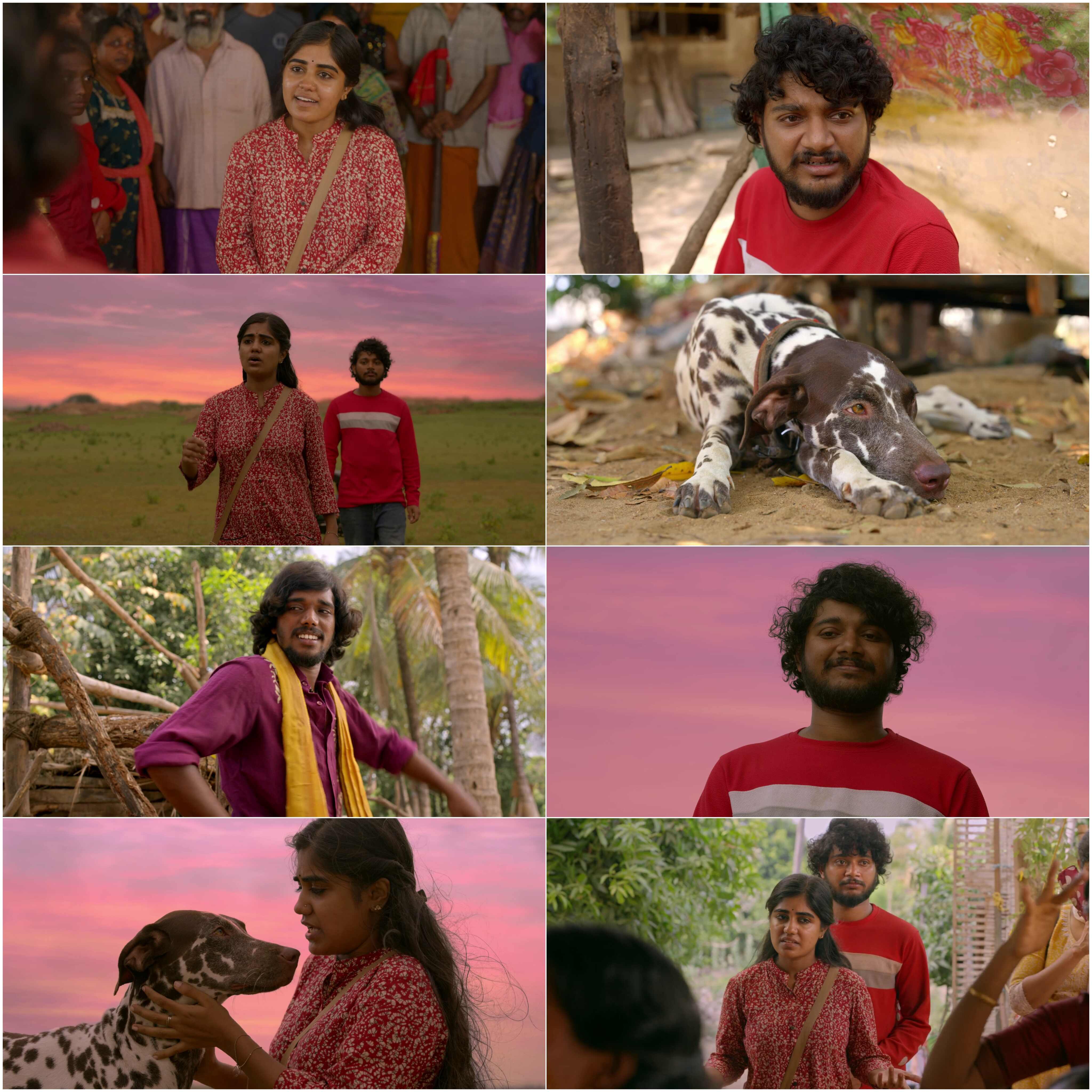 Pennum Porattum 2026 Hindi Malayalam Dual Audio UnCut South Movie HD ESub filmywap screenshot