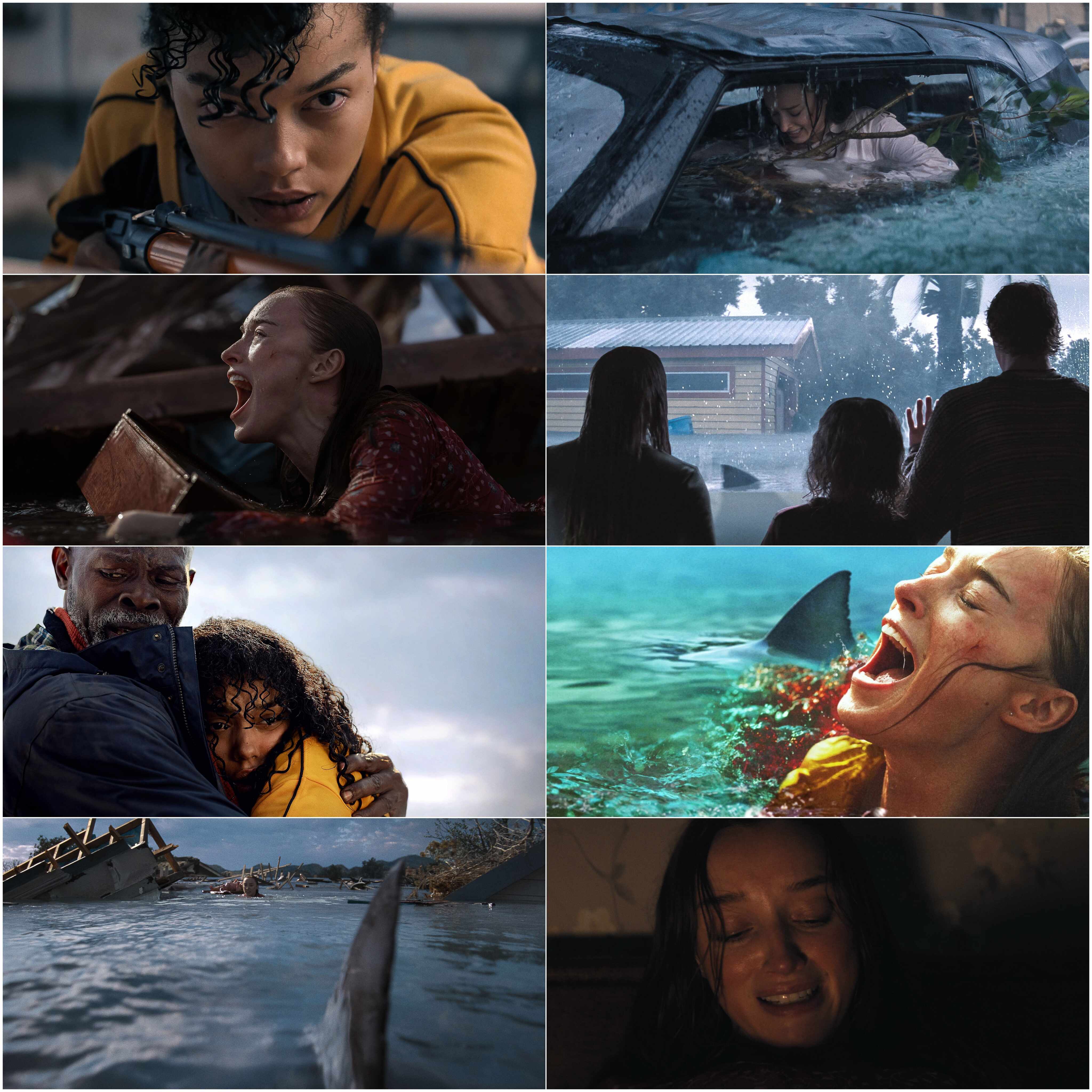 Thrash 2026 Hindi English Dual Audio Hollywood Movie HD ESub filmywap screenshot