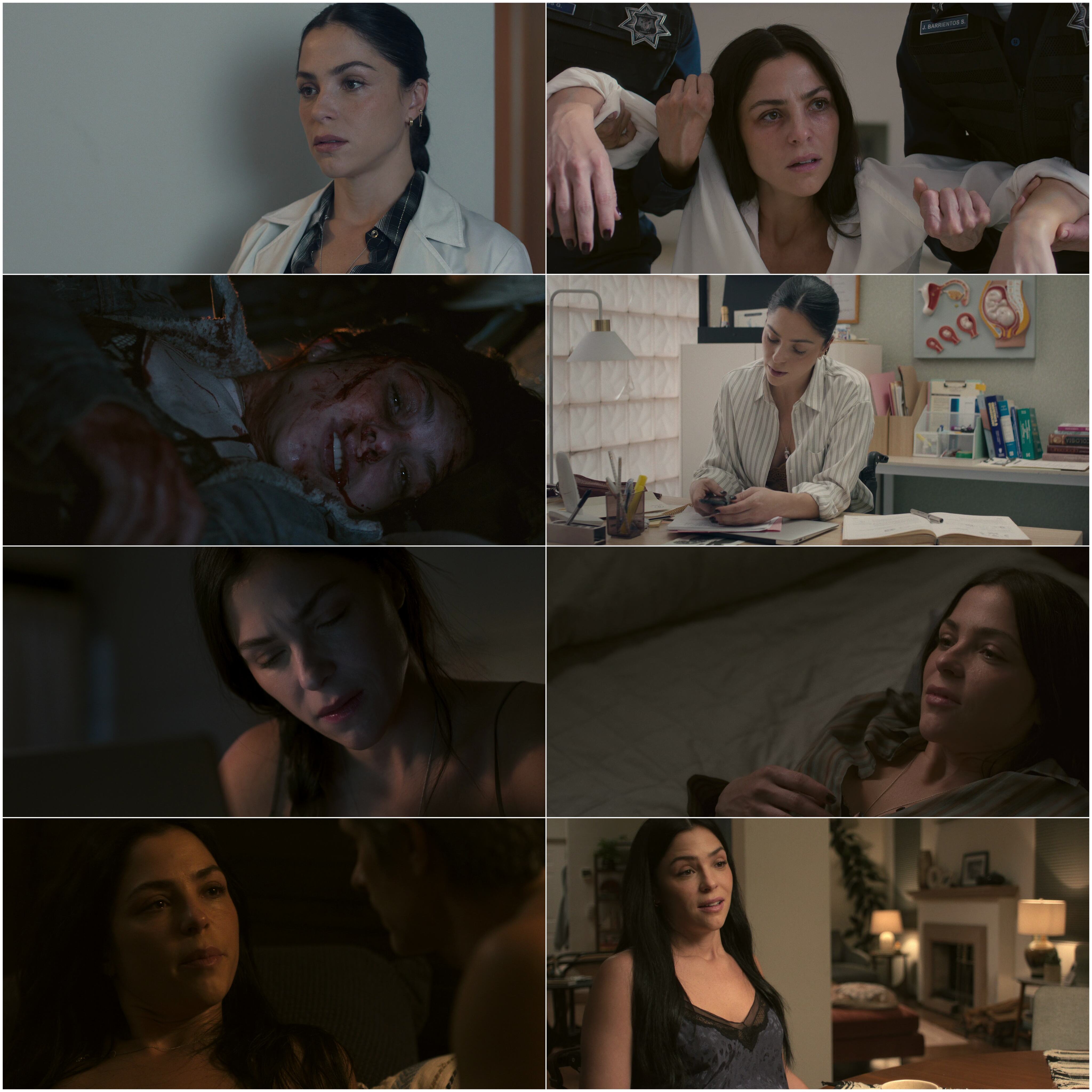 Santita S01 2026 Hindi English Dual Audio Completed Web Series HEVC ESub filmywap screenshot